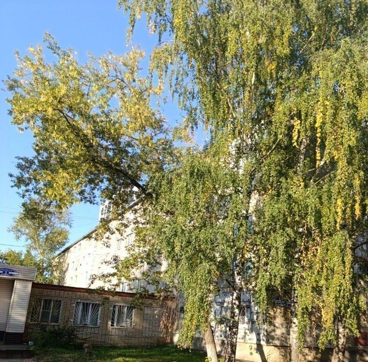 квартира г Саранск р-н Пролетарский ул. Анны Лусс, 3Б фото 13