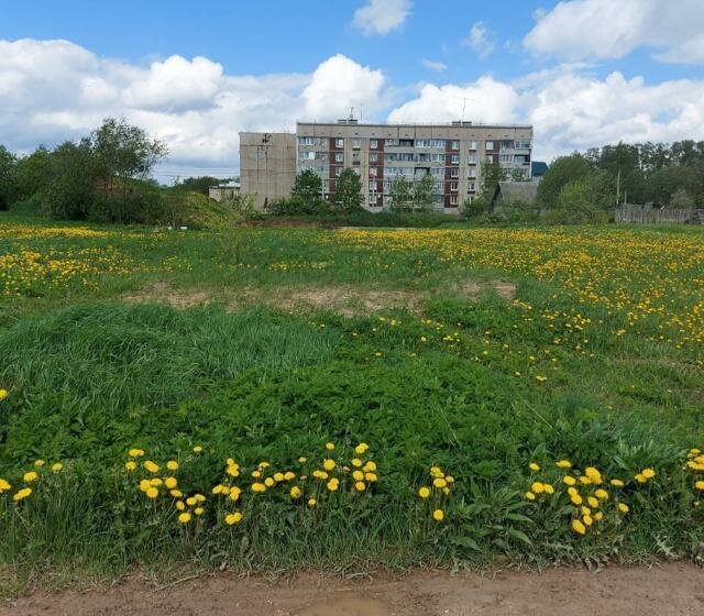 земля р-н Волосовский п Кикерино Калитинское сельское поселение фото 3