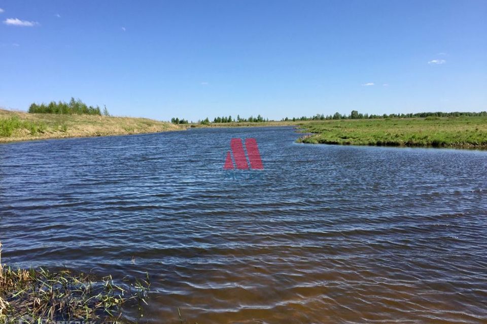 земля р-н Некрасовский д Мишнево ул Солнечная фото 2