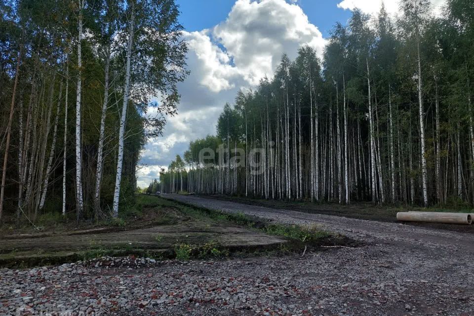 земля р-н Воткинский деревня Сидоровы Горы фото 10