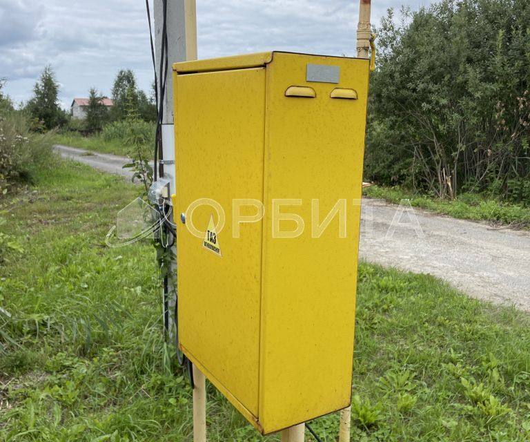 земля г Тюмень городской округ Тюмень, СНТ Березняки фото 6