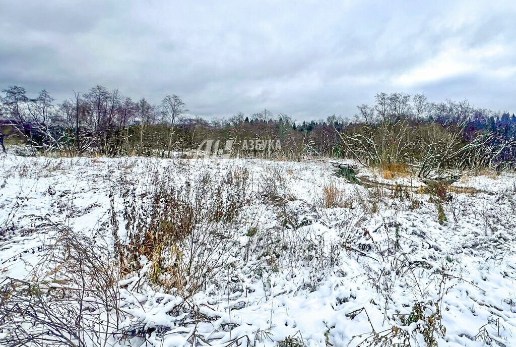 земля городской округ Солнечногорск д Радумля Зеленоград — Крюково фото 3