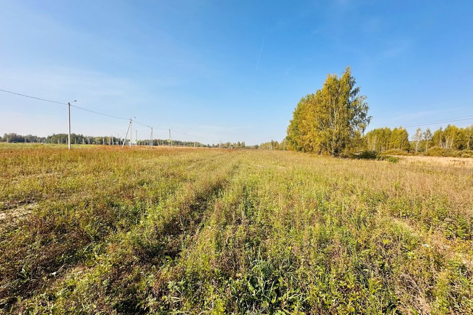 земля городской округ Бор, деревня Шерстнево фото 5