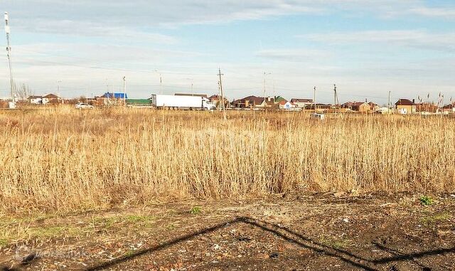 земля ДНТ Ромашка, Встречная улица фото