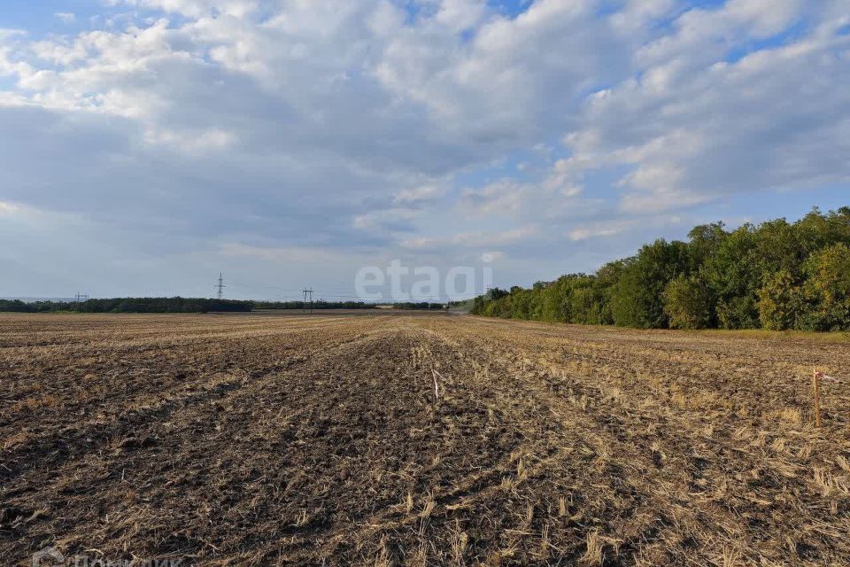 земля р-н Аксайский Красный фото 2