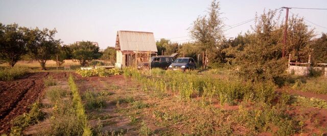 р-н Энгельсский снт Ромашка 35, Терновское муниципальное образование фото