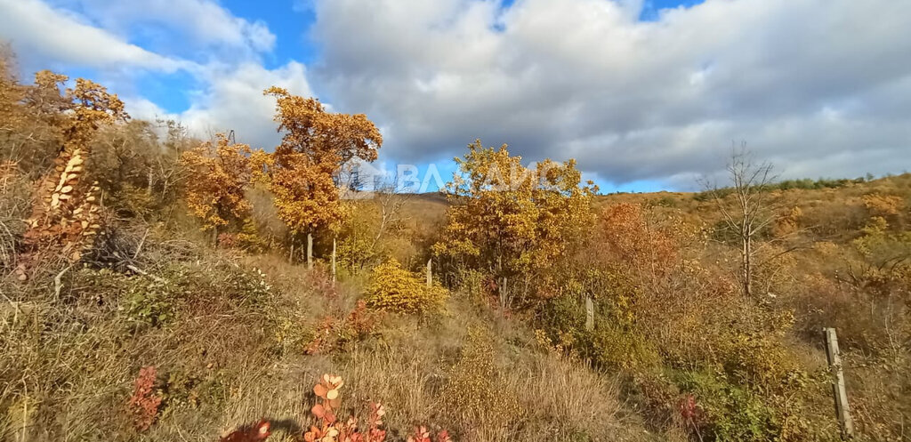 земля муниципальное образование Новороссийск, садовое товарищество Озон фото 8