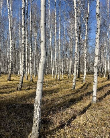 земля ул Зеленая Молодёжное муниципальное образование, Иркутск фото