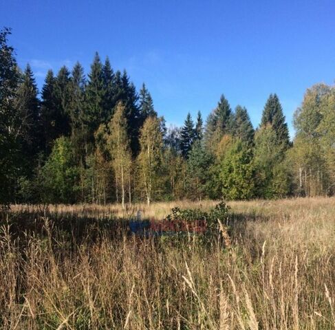 п Свердлово ул Сиреневая 26 Советское городское поселение фото