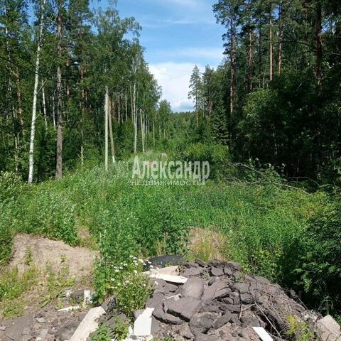 проезд Школьный Советское городское поселение фото