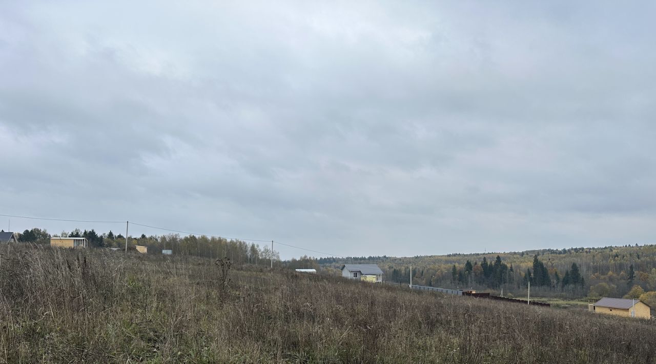 земля городской округ Сергиево-Посадский д Леоново фото 2