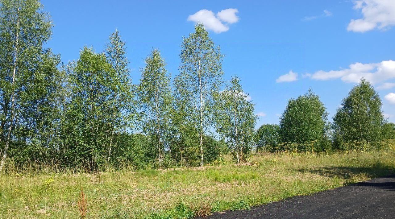 земля городской округ Сергиево-Посадский д Дубининское фото 8