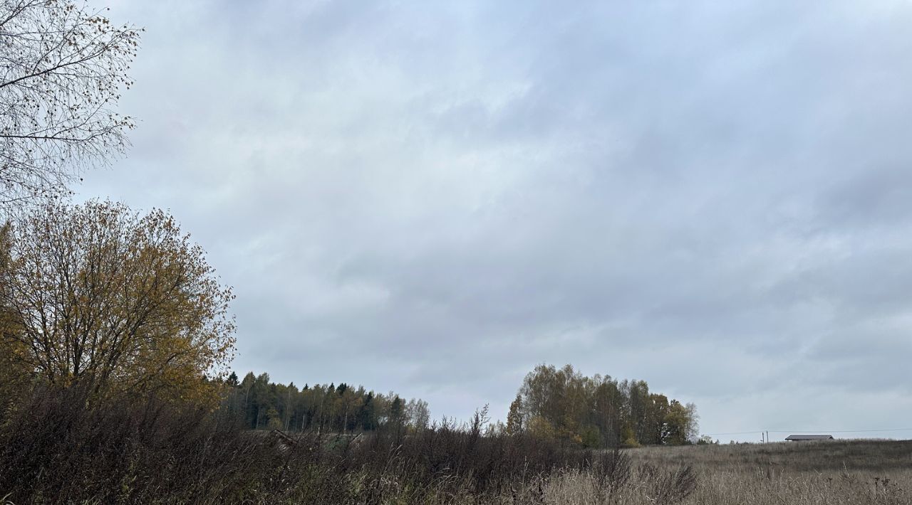 земля городской округ Сергиево-Посадский д Леоново фото 10