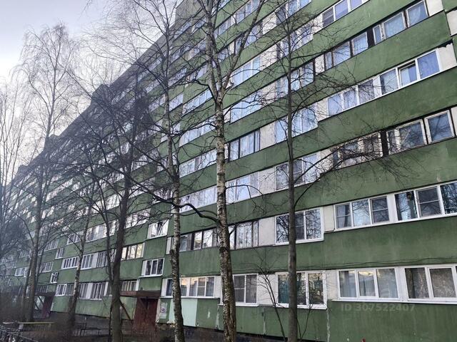 округ Шувалово-Озерки, Ленинградская область фото