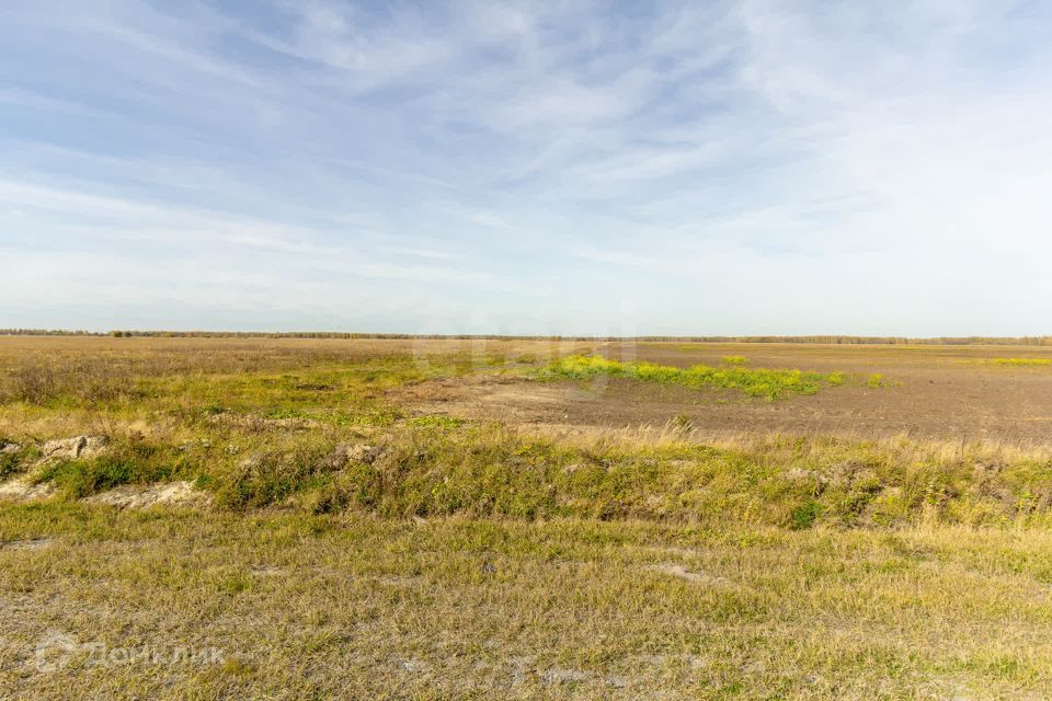 земля р-н Тюменский д Зубарева ул Центральная 25 фото 1