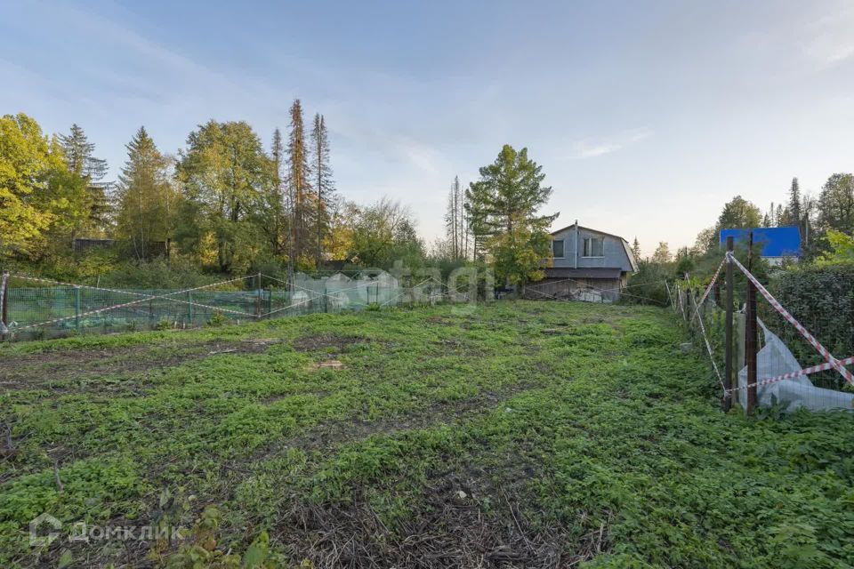 земля г Пермь р-н Свердловский городской округ Пермь, СНТ Липогорец-2 фото 4