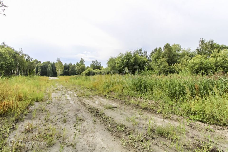 земля г Тюмень снт Облепиховое ул Зеленая городской округ Тюмень фото 6