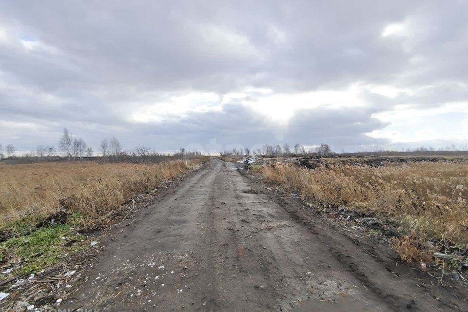 земля г Тюмень городской округ Тюмень, улица Поле чудес фото 7