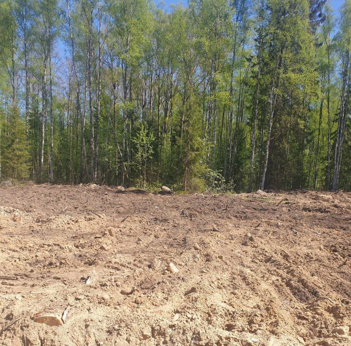 земля р-н Всеволожский снт Озерное Токсовское городское поселение, 8-я линия, Токсово фото 1