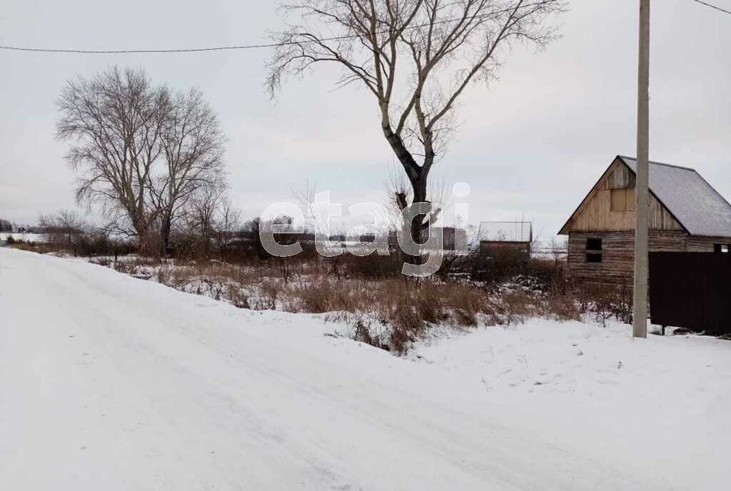 земля р-н Ишимский с Гагарино ул Гагарина фото 5