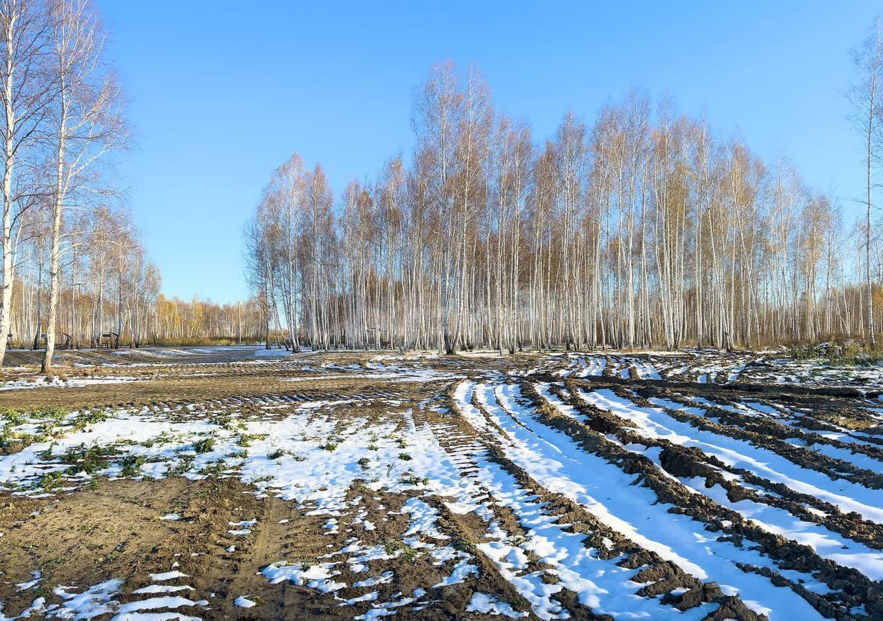 земля р-н Нижнетавдинский ТСН Строитель, Тюмень фото 16