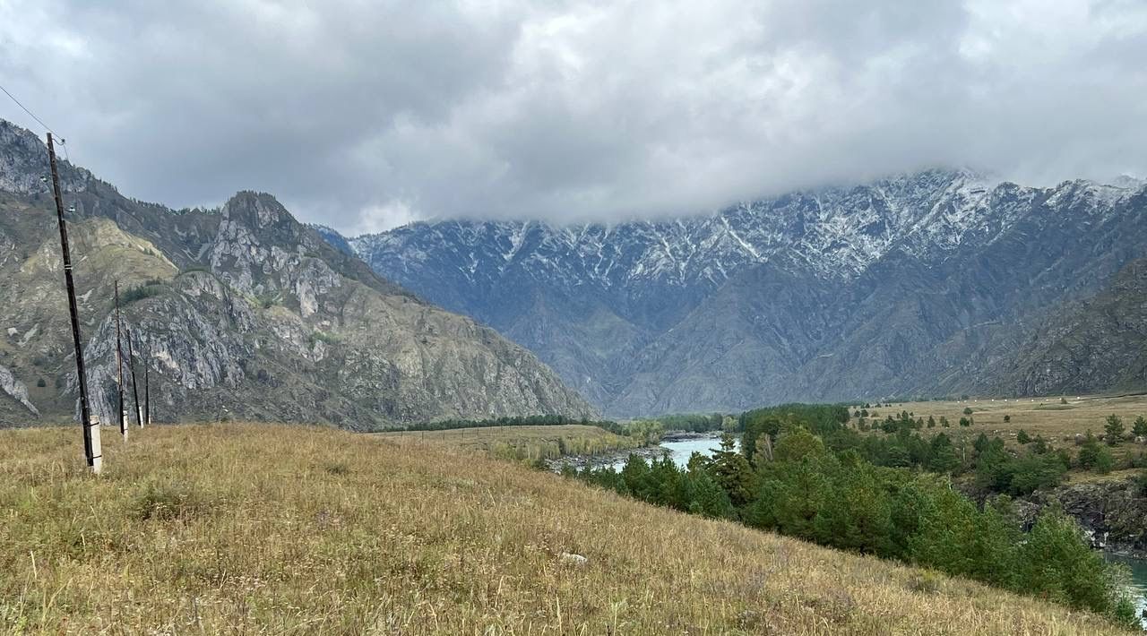 земля р-н Чемальский с Куюс ул Центральная Куюсское сельское поселение фото 1