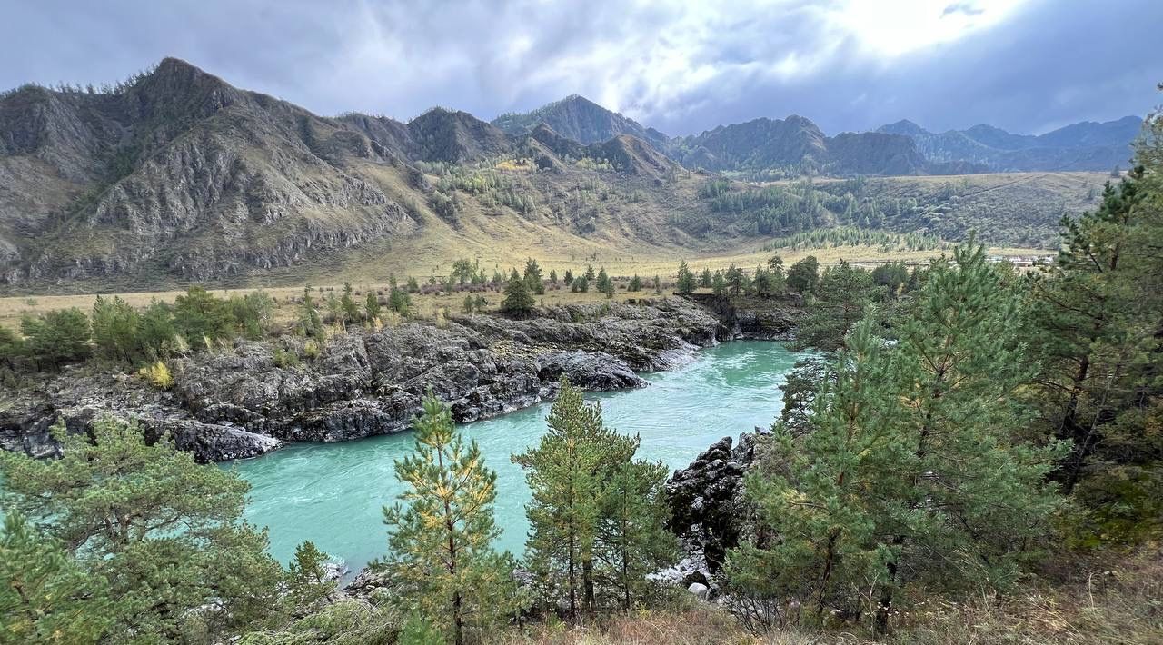 земля р-н Чемальский с Куюс ул Центральная Куюсское сельское поселение фото 22