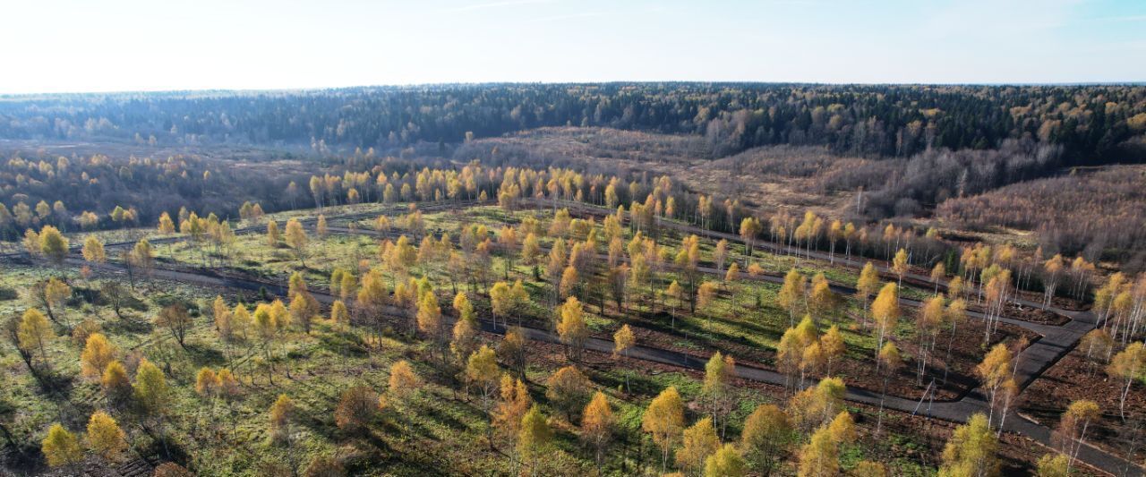 земля городской округ Клин д Покровка фото 2