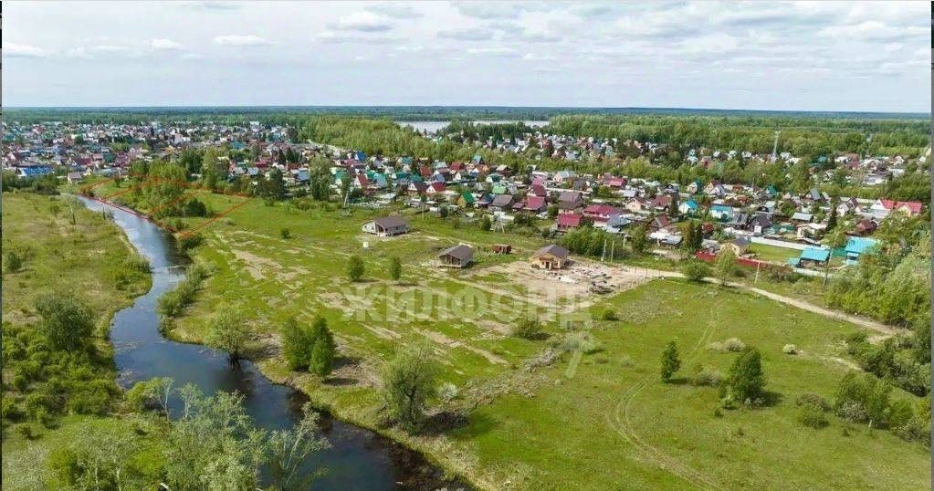 земля р-н Новосибирский с Кубовая ул Озерная фото 2