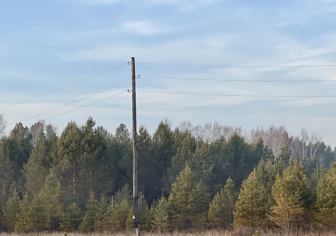 земля р-н Ангарский с Одинск Ангарск фото 8