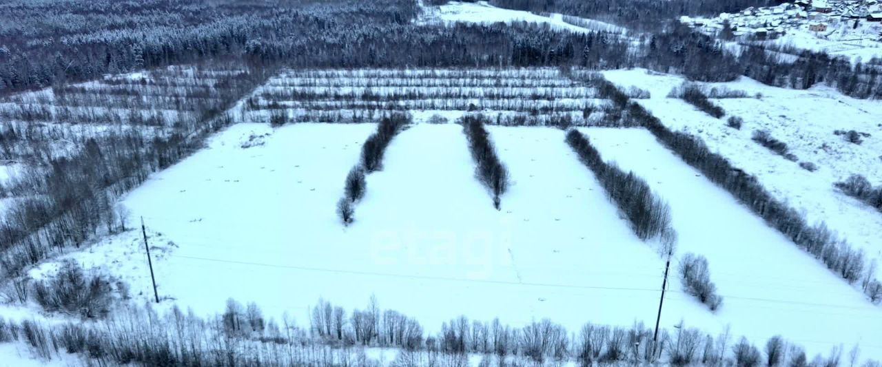 земля р-н Сыктывдинский с Выльгорт фото 8