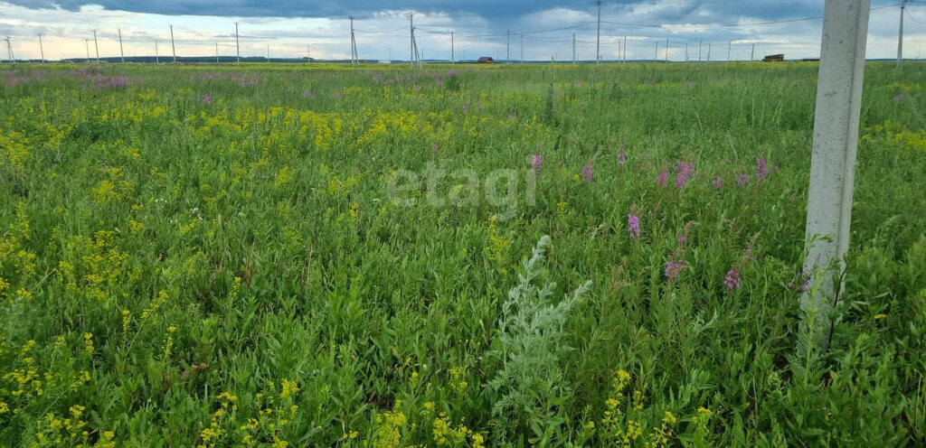 земля г Набережные Челны р-н Центральный фото 2