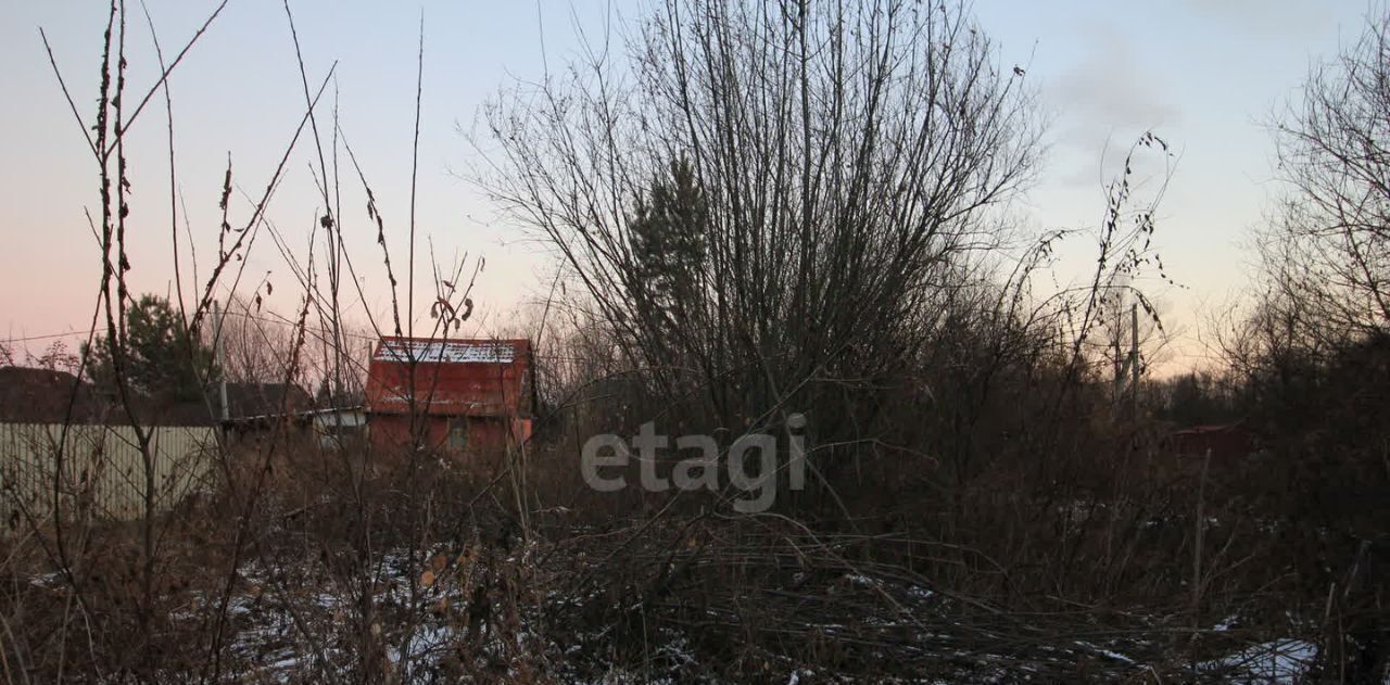 земля р-н Колыванский Калина красная садовое товарищество фото 9