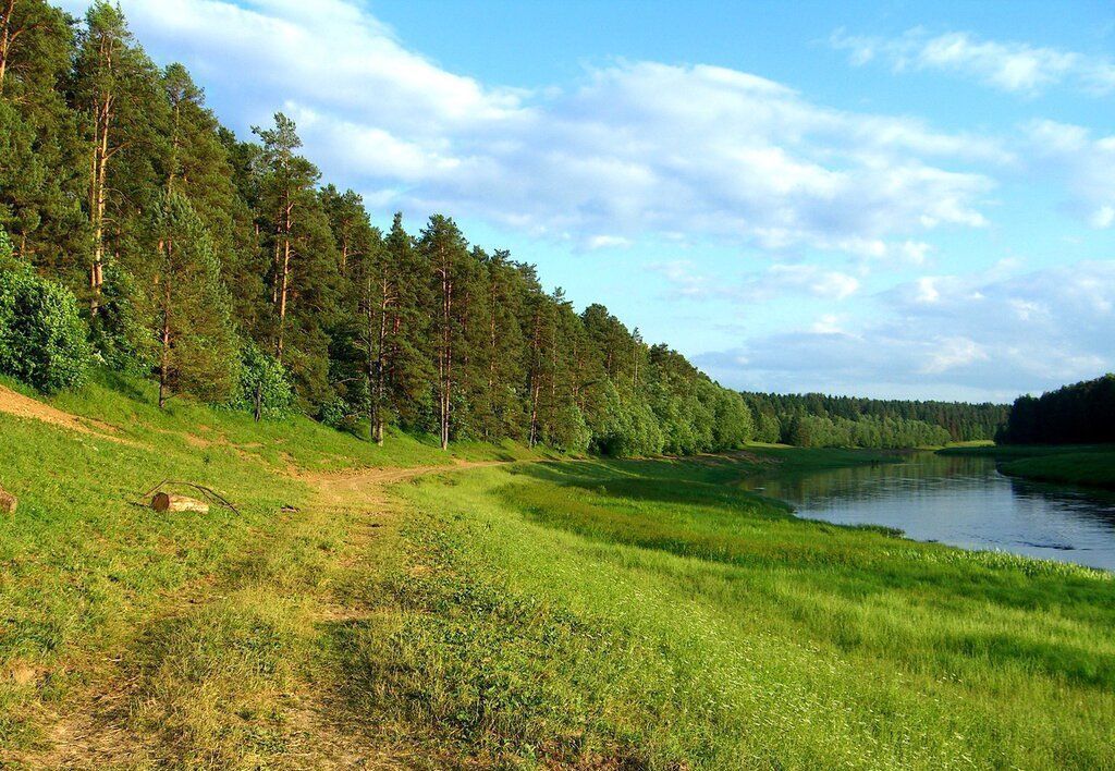 земля р-н Калининский д Фенино Медновское сельское поселение, Торжок фото 5