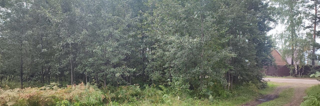 земля г Лесосибирск р-н мкр Лесной ул Рябиновая 2 фото 2