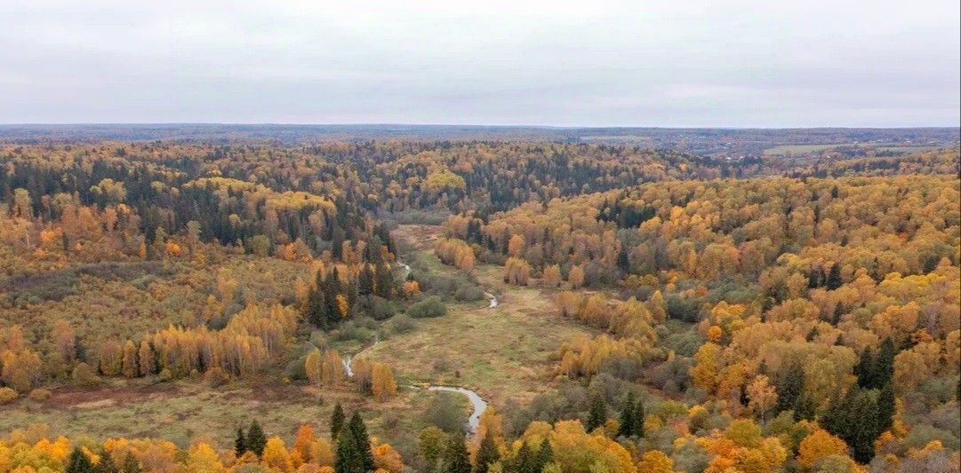 земля городской округ Дмитровский д Гаврилково фото 4