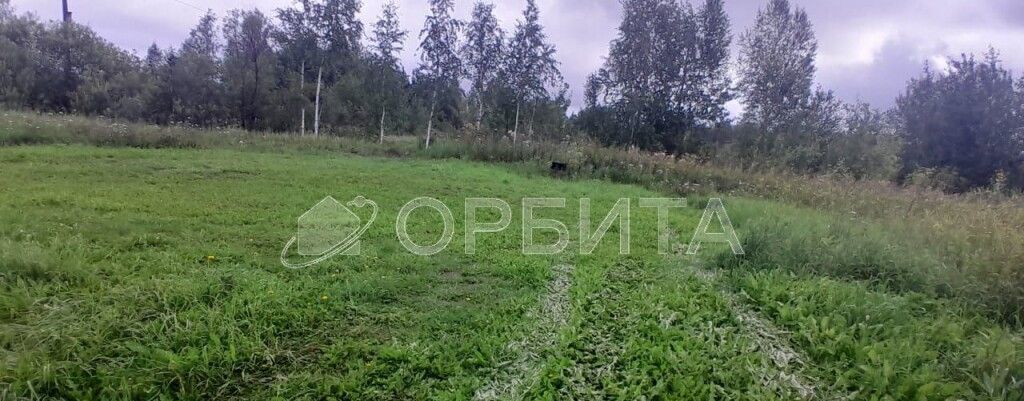 земля р-н Ялуторовский снт Поле Чудес Богандинский фото 10