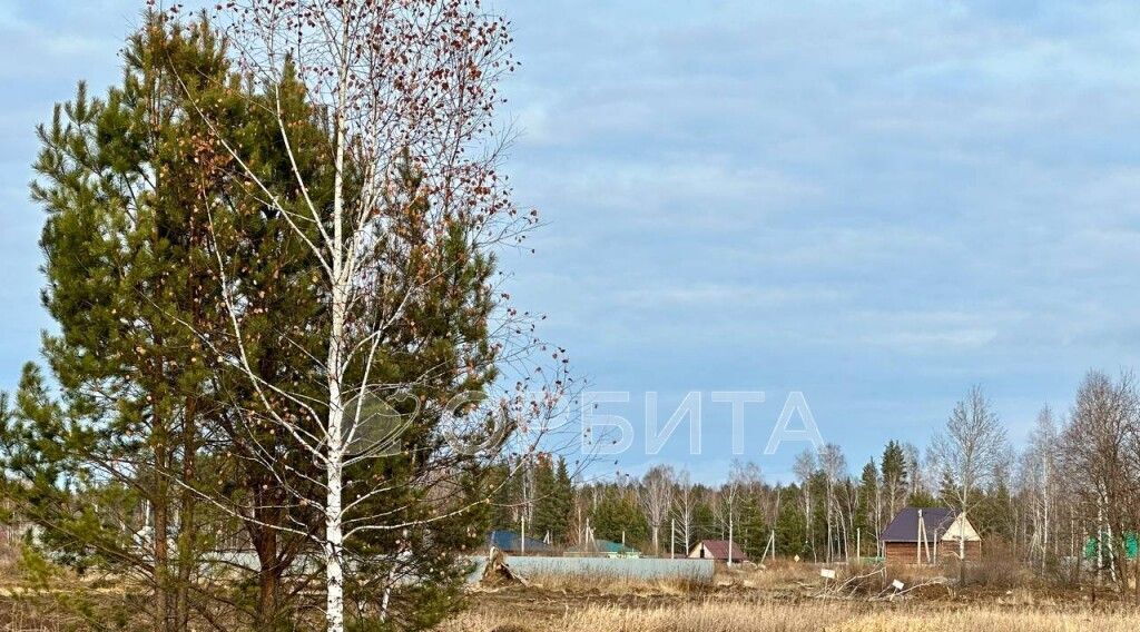 земля р-н Нижнетавдинский с Тюнево фото 2