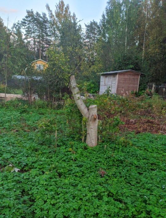 земля р-н Всеволожский массив Белоостров снт Заря-4 Сертоловское городское поселение, луч 7-й, 207 фото 13