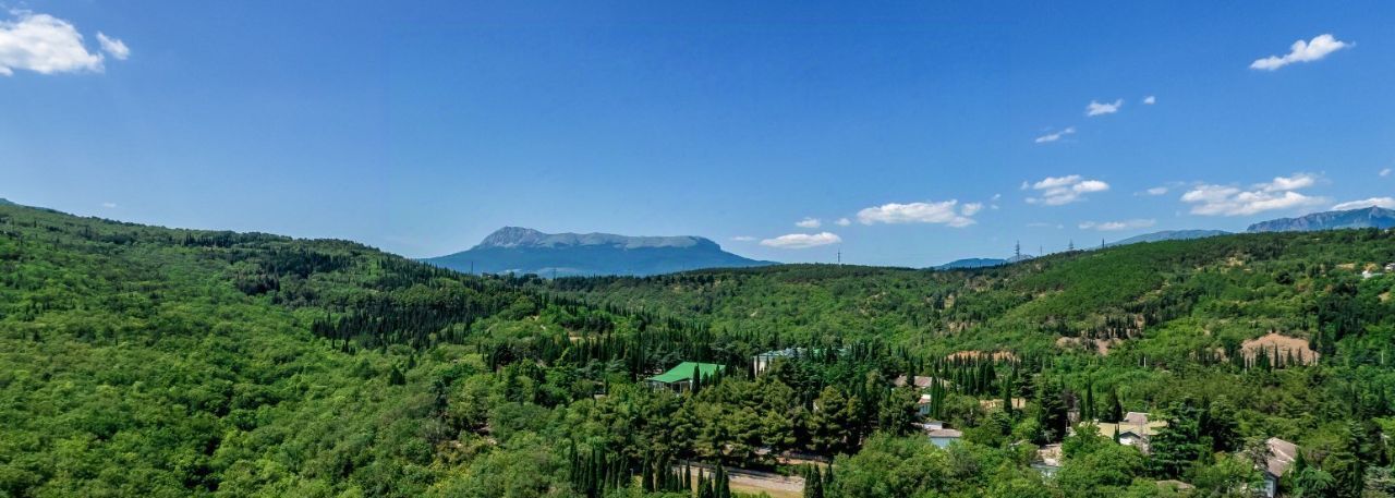 квартира г Алушта с Виноградное ул Сусловой 3 фото 4
