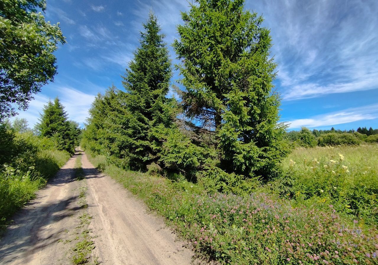 земля г Сортавала п Заозерный Сортавальский муниципальный округ фото 3