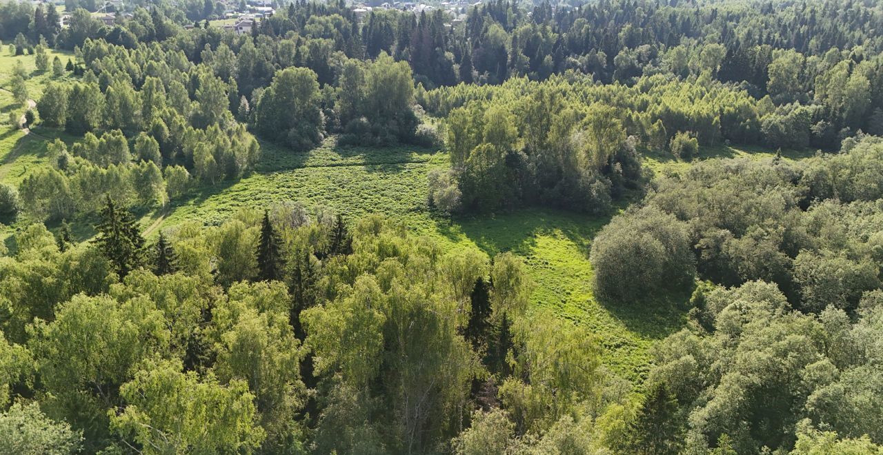 земля городской округ Дмитровский рп Икша 30 км, коттеджный пос. Удинские дачи, Рогачёвское шоссе фото 4