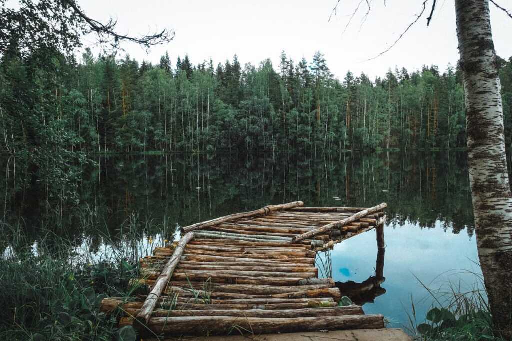 дом р-н Лахденпохский п Ихала озеро Питкялампи фото 13