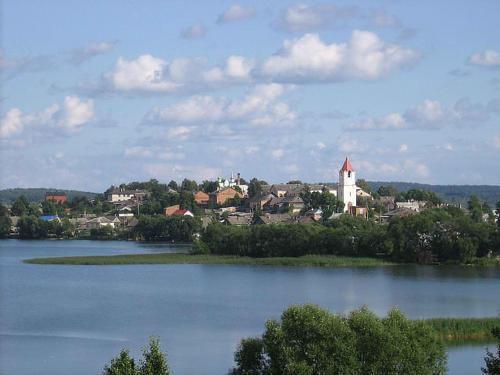 дом р-н Себежский г Себеж ул Зеленая 65 городское поселение Себеж фото 16