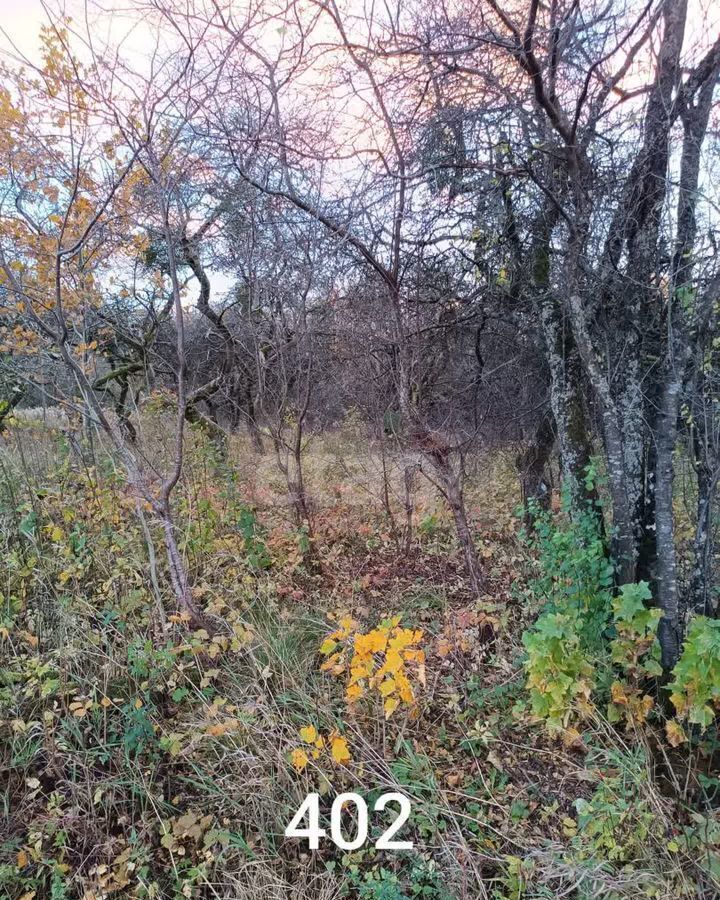 земля р-н Гурьевский п Матвеевка Гурьевск фото 1