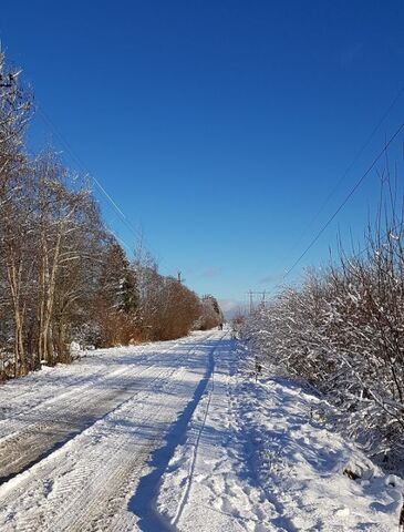 Мгинское городское поселение фото