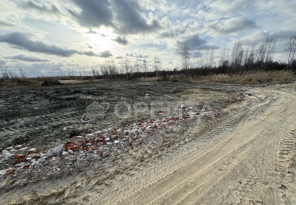 земля г Тюмень р-н Центральный снт Березняки фото 2