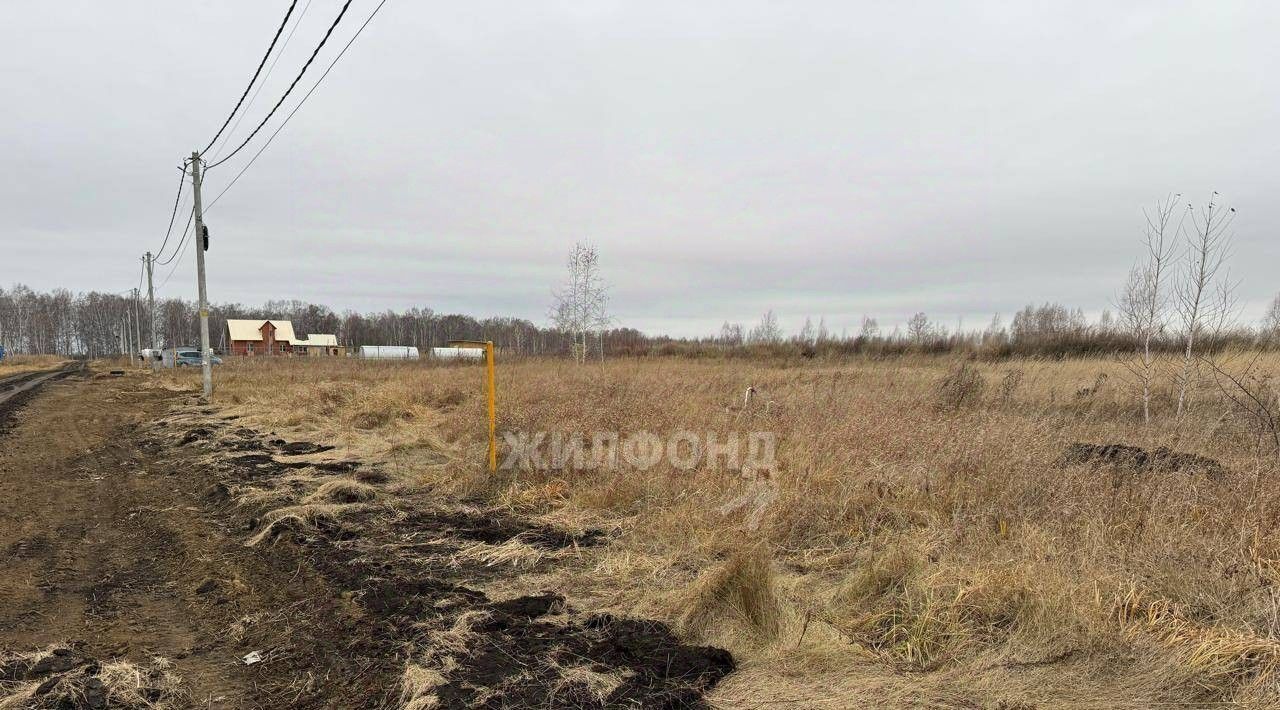 земля р-н Новосибирский п Крупской ул Оружейная Верх-Тулинский сельсовет фото 4