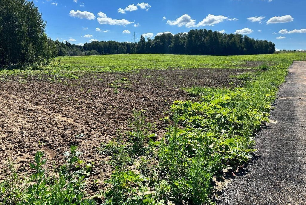 земля городской округ Дмитровский коттеджный поселок «Сорочаны» городской округ Клин фото 25