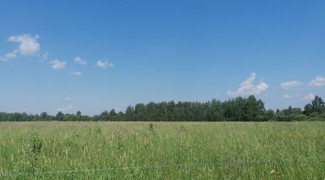 снт Раменье Дмитровский городской округ фото